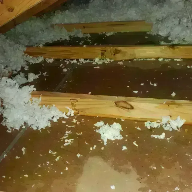 Attic Water Damage in Monroe County, MI