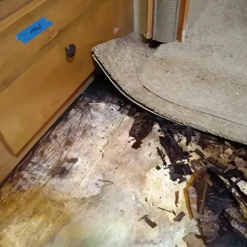 Best Wood Floor Water Damage Service in Monroe County, MI